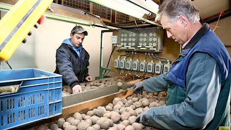 Renke Groeneveld (rechts) en zijn medewerker Michel Nobel lezen consumptieaardappelen van het ras Bildtstar. Er is geen leeskamer; ze staan bij de sorteerinstallatie in de open ruimte in de schuur. En dat kan best fris zijn. Daarom zorgen de mannen er voo