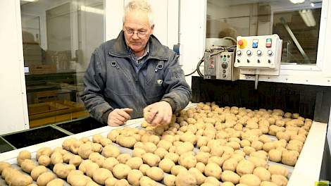 Roel den Bakker leest in zijn eentje een partij aardappelen. Normaal gesproken lezen ingehuurde krachten de grotere partijen aardappelen, kleinere klussen proberen we met eigen mensen te doen, zegt zoon Wim den Bakker, die samen met zijn compagnon Den Bak