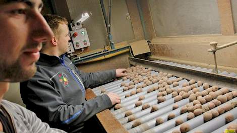 Akkerbouwer Leon Bovee (rechts) en zijn medewerker Stan de Jong lezen aardappelen van het ras Camel, een roodschillige aardappel. Ze lezen hier de maat 28/35. Het sorteren zit er voor dit seizoen al weer bijna op, zegt Bovee. Het sorteerwerk begon medio o