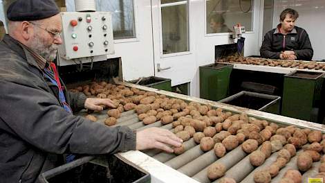 Theo (rechts) en zijn vader Joos Vos lezen een partij aardappelen van het ras Desiree. Vos senior levert nog vaak hand- en spandiensten op het akkerbouwbedrijf in Bant. ‘Het is fijn om mee te kunnen werken. En ook mijn vrouw helpt regelmatig mee bij het l