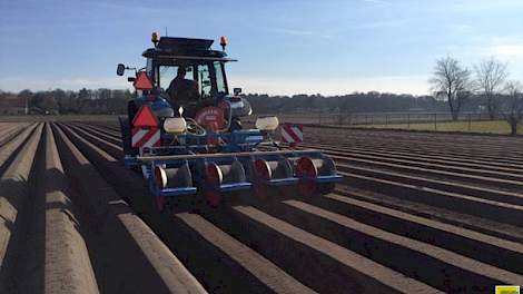 De eerste vroege peen is op de Brabantse zandgrond gezaaid.