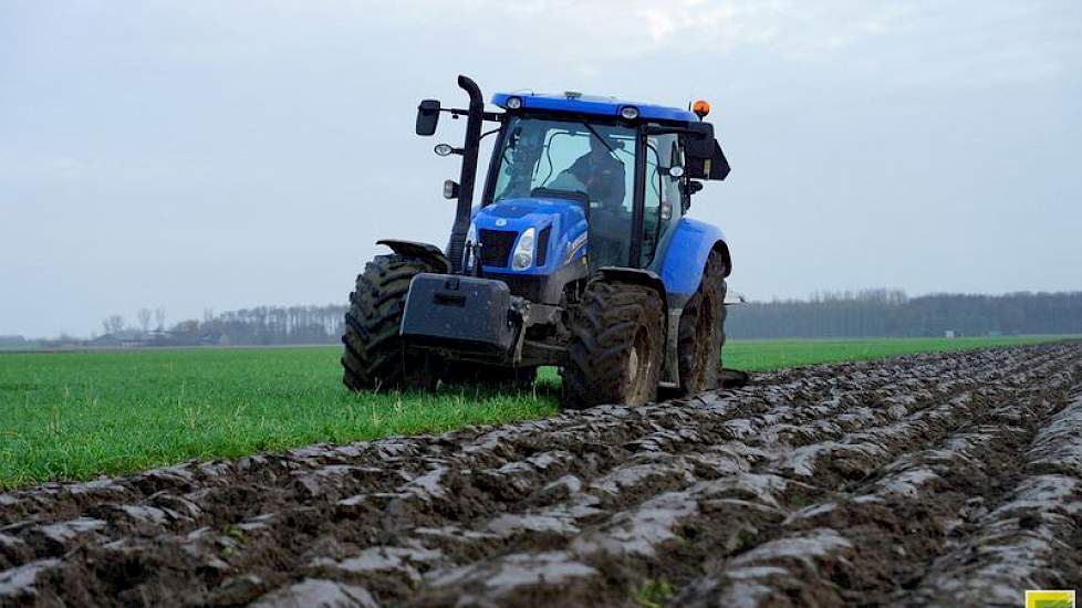 In 2016 werd er in ons land gemiddeld meer voor bouwland betaald dan voor grasland.