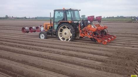 Dekker zaait hier het ras Nerac. Dit is grasland geweest. De eerste snede is er afgehaald en vervolgens is het perceel bemest, geploegd en met de rotorkopeg bewerkt.