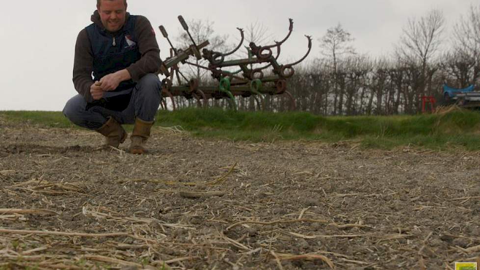 Vorig jaar zag Janse dat de groenbemester al mooi verteerd was, vroeg in het seizoen. Dit jaar kocht hij een nieuwe combinatie schijveneg-woelpoot om de groenbemester ondiep en goed in te werken.