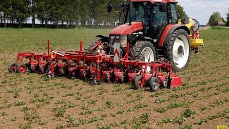 Op Klein Tiengemeten pakt Leen Vos de aardappelopslag aan.