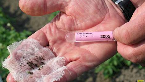 Zowel bij de eerste als de tweede afklop werden veel virusdragende bladluizen geteld in de Noordoost-Polder en de Flevopolder.