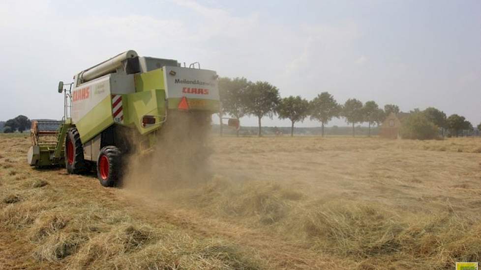 De graszaadoogst is sinds vorige week in volle gang, met name in Zuidwest-Nederland.