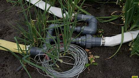 Voor druppelirrigatie brengt een pomp via een hoofdslang water naar verschillende kraanvakken. Vanaf de dikke slangen gaat het water via kleine slangetjes naar de planten in de rij. In het geval van René Speelman is dat in de uien.