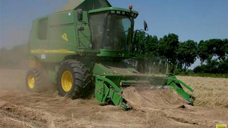 De teelt van graszaad wordt dit jaar gekenmerkt door forse verschillen in opbrengst, voornamelijk veroorzaakt door droogte.