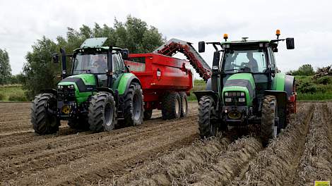 Looyen rooit zijn pootgoed in dezelfde weken als vorig jaar. Hij begon vorige week en is vijf tot zes weken bezig met de totale oogst.