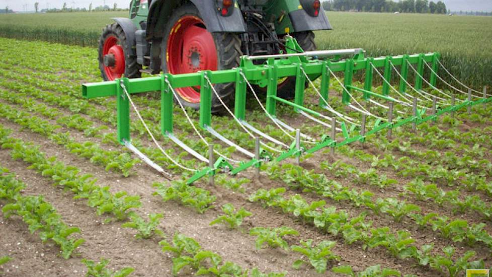 Mechanische onkruidbestrijding is één van de 'instrumenten' om biologische landbouw te stimuleren.