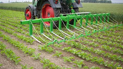 Mechanische onkruidbestrijding is één van de 'instrumenten' om biologische landbouw te stimuleren.