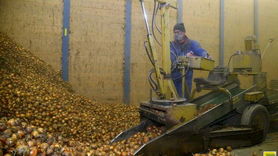 Nederland is een sterke speler op de internationale uienmarkt.Om die positie te behouden, zal de sector volgens de Rabobank een aantal stappen moeten zetten.