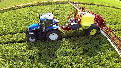 Veredelaar werken aan aardappelrassen met een meervoudige resistentie tegen Phytophthora. In de gangbare teelt zou het op jaarbasis tot 300 euro minder spuitkosten betekenen.