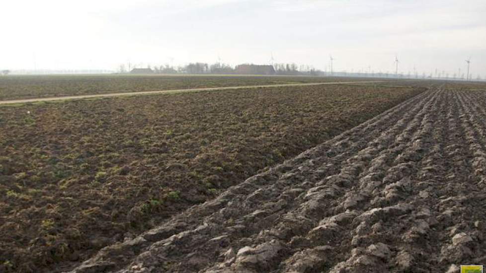 Op de balans van akkerbouwers is grond in toenemende mate de belangrijkste factor. In 2015 bedroeg de waarde van grond 70 procent van de gemiddelde balanswaarde, tegen 57 procent in 2006.