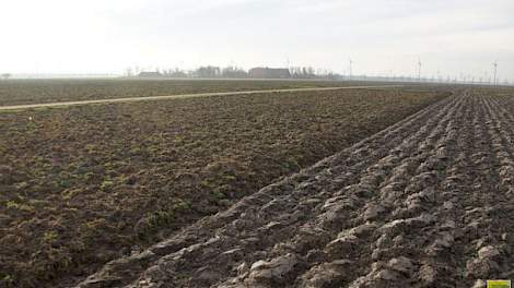 Op de balans van akkerbouwers is grond in toenemende mate de belangrijkste factor. In 2015 bedroeg de waarde van grond 70 procent van de gemiddelde balanswaarde, tegen 57 procent in 2006.