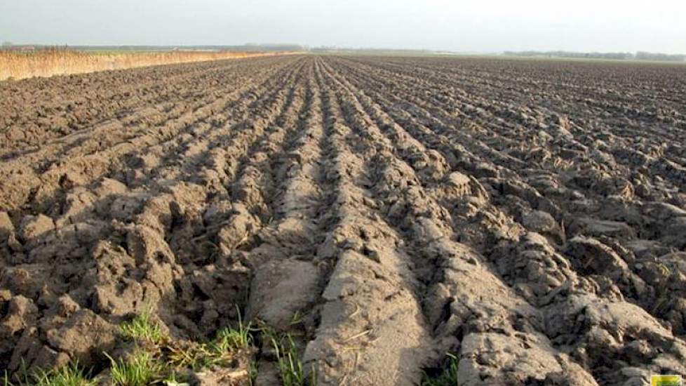 In Duitsland is de koop- en pachtprijs van landbouwgrond de afgelopen tien jaar sterk gestegen.