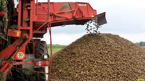 De handelshuizen die pootaardappelen vermarkten hebben nog maar 60 procent van de oogst binnen. Ze hopen dat de rooiers snel weer kunnen gaan rijden.