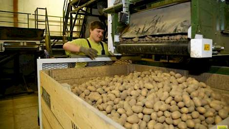 Zowel de Nederlandse consumptie= en fabrieksardappelen als het pootgoed is wereldwijd erg gewild.