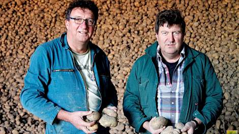 Meeuw (links) en Marco de Bruijne zijn hofleverancier van het Frites Atelier van topkok Sergio Herman. De broers leveren hun Agria's twee keer per week aan.