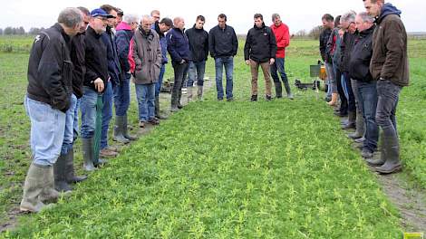 Vele akkerbouwers kwamen in oktober naar Munnekezijl om op proefboerderij Kollumerwaard alles te horen en zien over groenbemesters in het kader van Beter Bodembeheer.