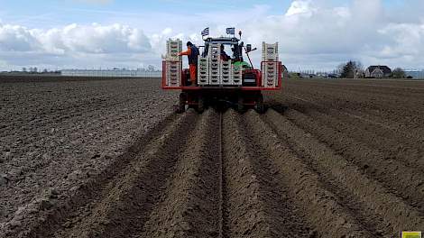 Het perceel is 2,8 hectare groot. Het is niet gelukt om het hele perceel vandaag geplant te krijgen. ‘We zijn gestopt, het is nog te nat.’