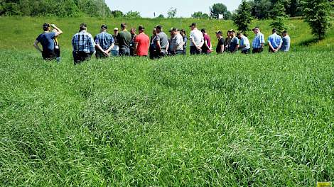 Op het gemengd bedrijf van Gerrit en Sanne van Daalen in Uitwijk (NB)  was er een excursie naar het graszaadperceel, 15 hectare Italiaans raaigras van het ras Meribel.