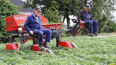 Piet Hellinga (zwarte jas) en buurman en oud-akkerbouwer IJsbrand Haven selecteren een perceel aardappelen van 2,3 hectare van het ras Arrow.