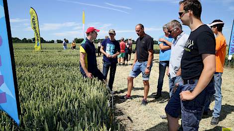 De verschillende veredelingsbedrijven gaven tekst en uitleg over de graandemo's op Proefboerderij Ebelsheerd.