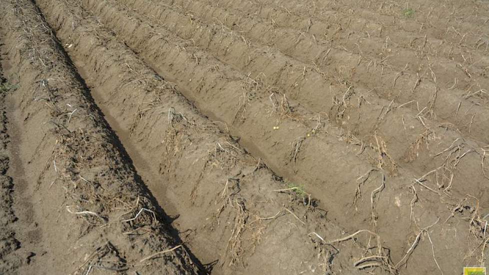 De loofvernietiging komt op gang: momenteel is op 1.800 hectare het loof inmiddels vernietigd.