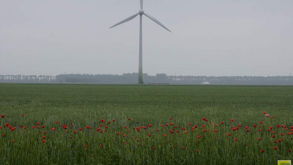 De ruime opzet van de geïntegreerde gewasbeschermingsproef kan op het proefbedrijf in Lelystad. Voor goede metingen aan bodem en gewas is ruimte en een langlopende proef een voorwaarde.