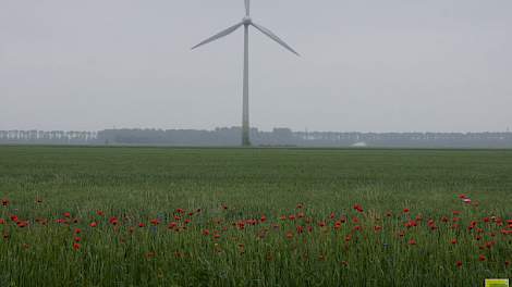 De ruime opzet van de geïntegreerde gewasbeschermingsproef kan op het proefbedrijf in Lelystad. Voor goede metingen aan bodem en gewas is ruimte en een langlopende proef een voorwaarde.