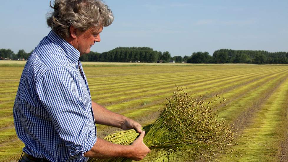 Peter Dieleman op een zojuist getrokken perceel van 23 hectare Aretha vezelvlas bij de Feijter in Axel.