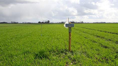 Septoriatimers zijn door het hele land geplaatst