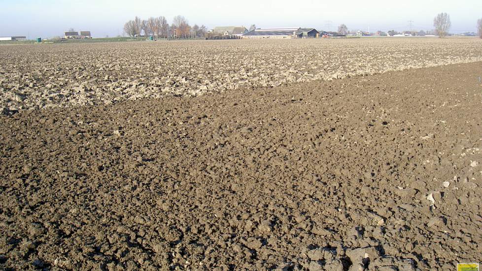 Foto: WPR Proefboerderij Westmaas
