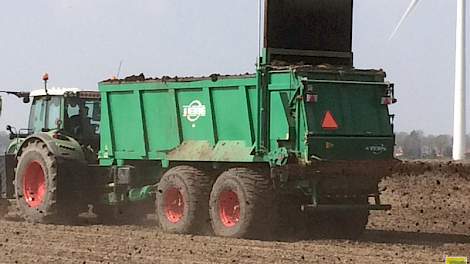 Sam de Visser testte of het beschermen van de jonge uienplantjes met een laagje compost vroege uitval door hitte voorkomen zou.