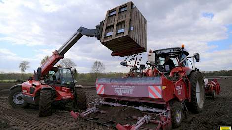 Krol Aardappelen poten