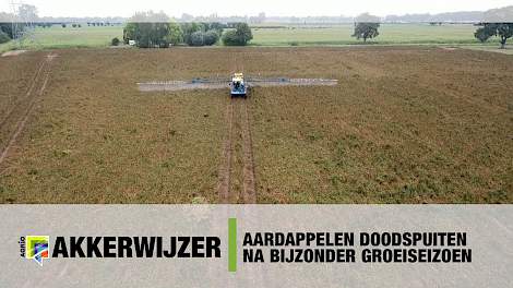 Aardappelen doodspuiten na bijzonder groeiseizoen