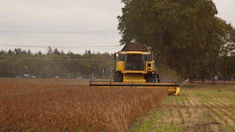 1 november: De soja van Nijhoff is gedorst. Met de wisselende weersomstandigheden in het vooruitzicht besloot hij de bonen tijdens de koude dagen te oogsten. Nijhoff kan nog geen uitspraken doen over de netto-opbrengst, maar duidelijk is dat de oogst door