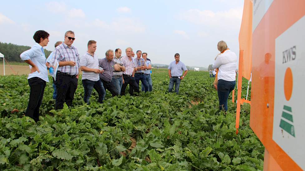 Twintig suikerbietentelers hebben dit voorjaar bij KWS een claim ingediend voor 50 procent korting in verband met de herinzaai van in totaal ruim 200 hectare suikerbieten