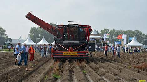 Dewulf Kwatro, een vierrijige zelfrijdende zeefbandrooier met bunker. Om de bodem te sparen rijdt deze machine op 90 cm brede rupsbanden ...