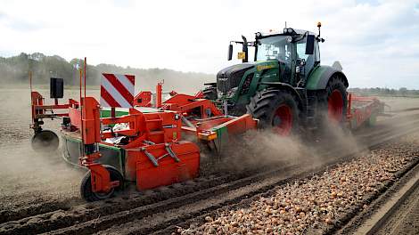 Akkerbouwer Peter Berends uit Leveroy (LB) heeft zijn uien inmiddels gerooid. Met de klus, die dit jaar onder goede omstandigheden goed is verlopen, zijn in totaal 6 hectare uien van het ras in het zwad gelegd. De uien van het ras Vento (Hazera) worden va