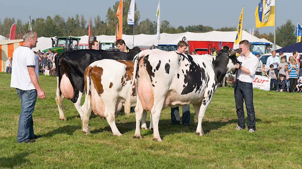 De finale van De Beste Boerenkoe, een initiatief van vakblad Melkvee en deze site, werd in 2011 en in 2013 in Hoornaar gehouden en vormde wellicht de inspiratie voor de eerste 'Gewoon-koeienkeuring'.