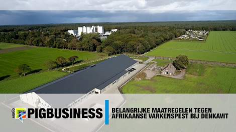 Belangrijke maatregelen tegen Afrikaanse Varkenspest bij Denkavit