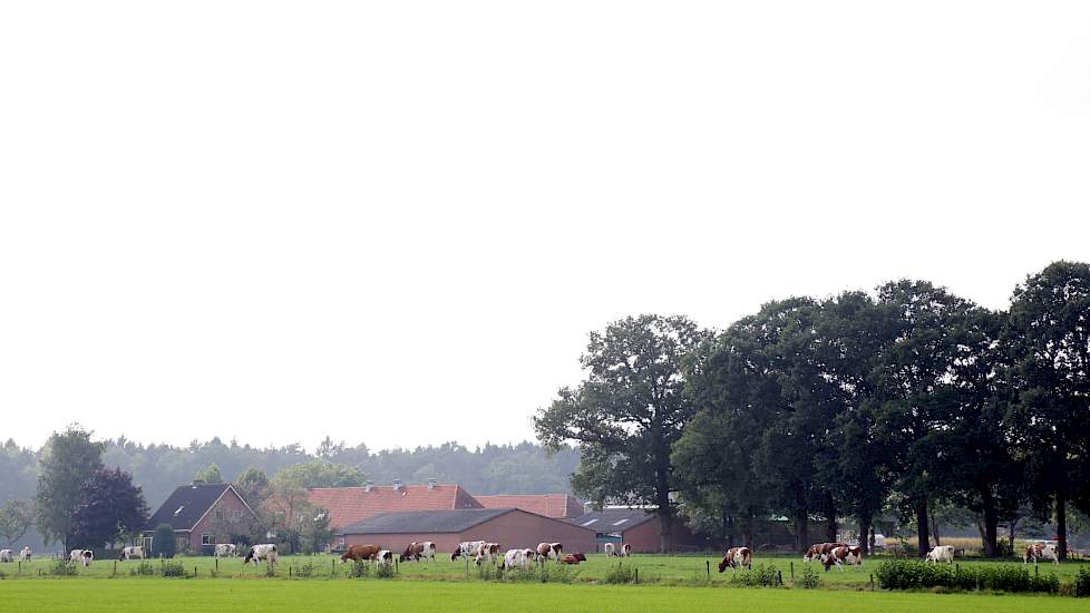 Melkveebedrijf in het landschap.