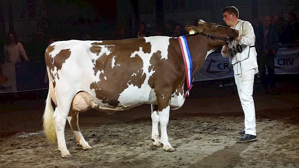 Bossink Miranda 107 (v. Bonfire) van de familie Van der Kolk uit Wierden werd tot beste roodbonte oudere koe verkozen en kreeg ook de Ir. Anema-prijs voor de beste roodbonte eigengefokte koe op de Twentse After Summer Show in Vriezenveen.