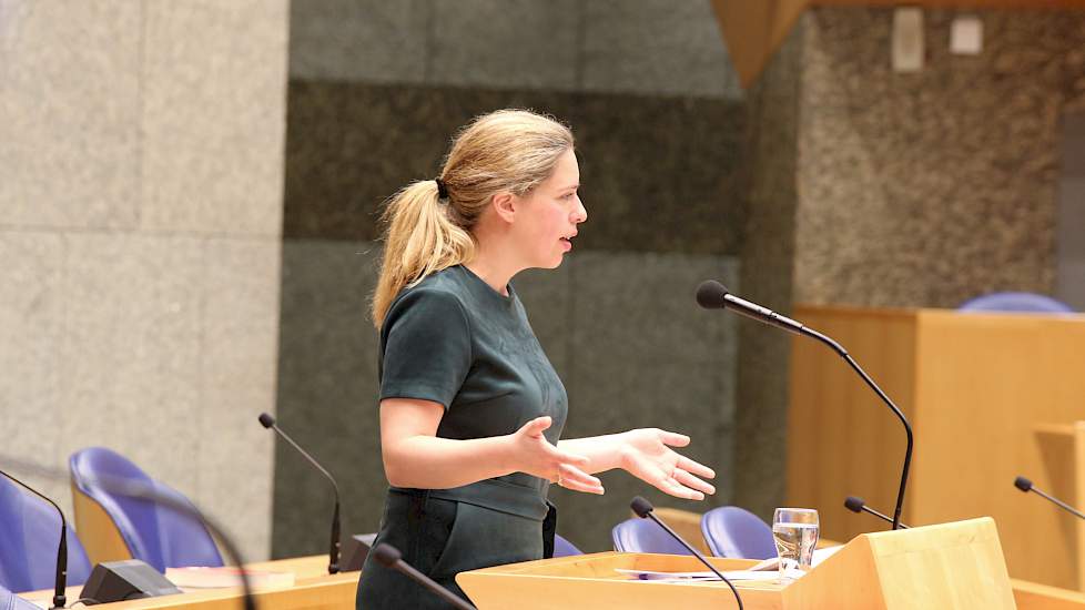 Minister Schouten in de Tweede Kamer