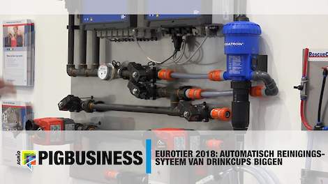 Eurotier 2018: Automatisch reinigingssysteem van drinkcups biggen