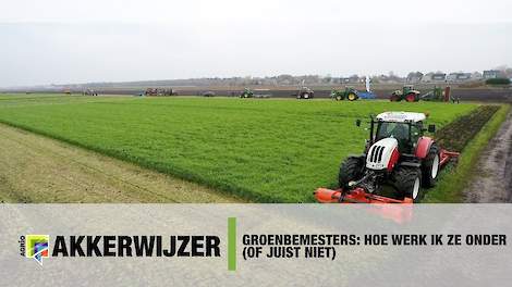 Groenbemesters: Hoe werk ik ze onder (of juist niet)