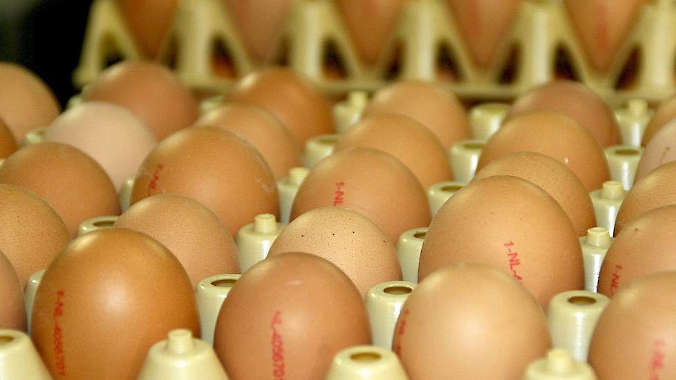 Toneelschrijver fout Persoonlijk Eieren: wel of niet gezond? | Pluimveeweb.nl - Nieuws voor pluimveehouders